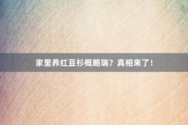 家里养红豆杉概略瑞？真相来了！