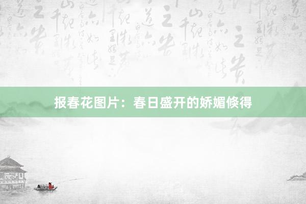 报春花图片：春日盛开的娇媚倏得