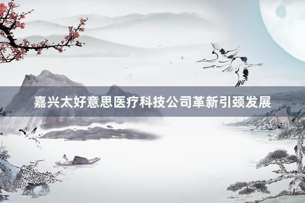 嘉兴太好意思医疗科技公司革新引颈发展