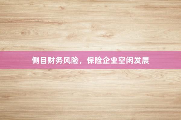 侧目财务风险，保险企业空闲发展